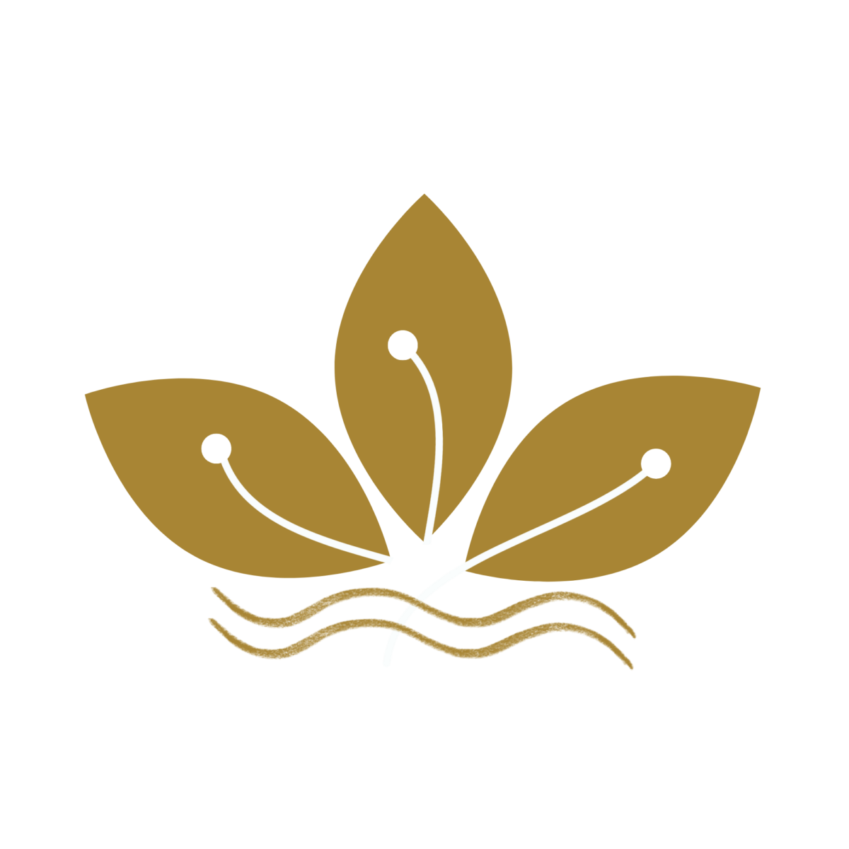 Logo BCT Online