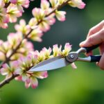Comment et quand tailler efficacement un saule crevette pour une croissance optimale ?